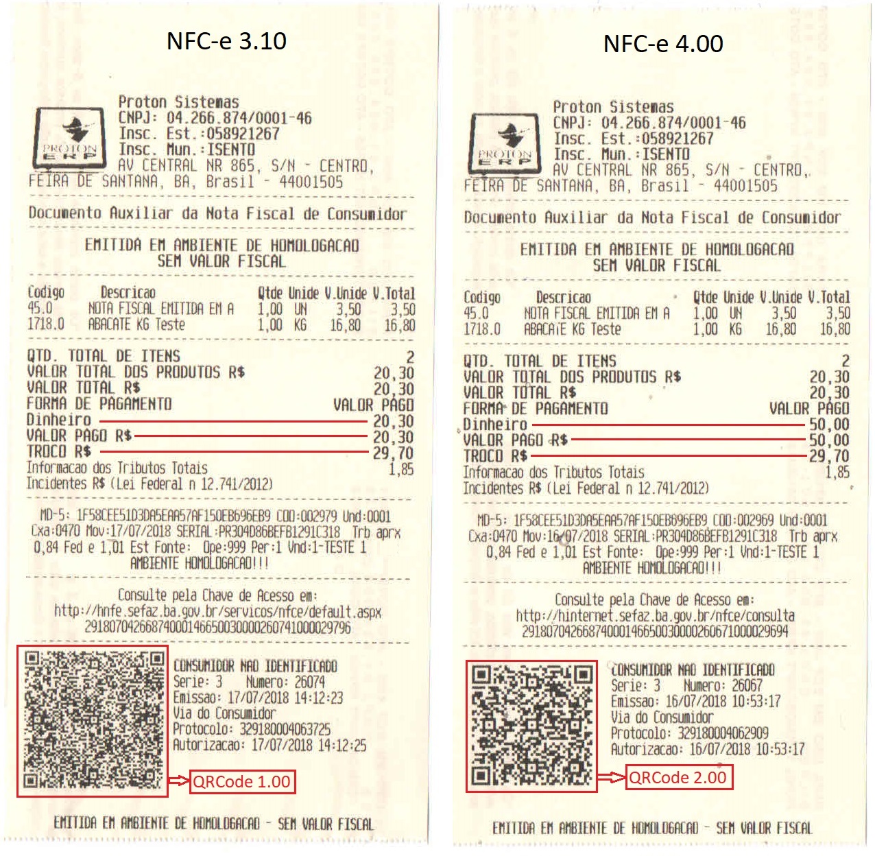 DANFE NFC-e
