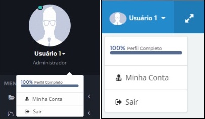 Perfil